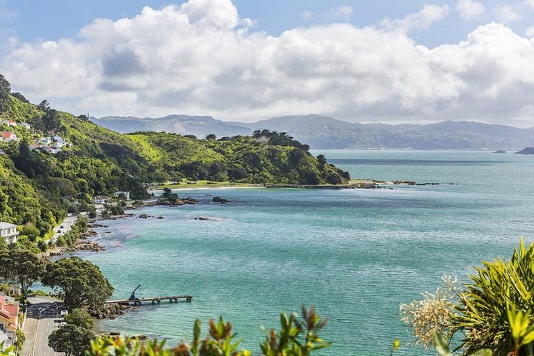 Photo of property in 25 Tai Paku Paku Road, Karaka Bays, Wellington, 6022
