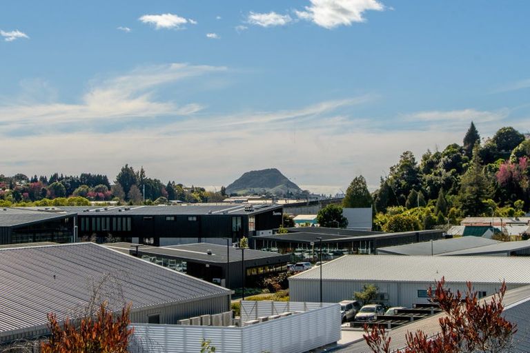 Photo of property in 1 Clarke Street, Gate Pa, Tauranga, 3112