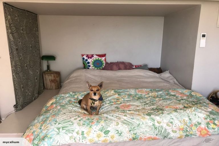 Photo of property in 60 Mortimer Terrace, Brooklyn, Wellington, 6021