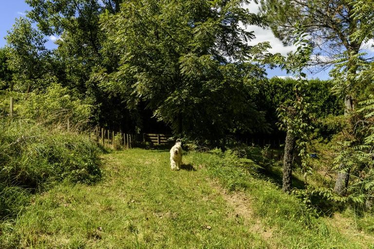 Photo of property in 90a Tebbutt Road, Lower Kaimai, Tauranga, 3171