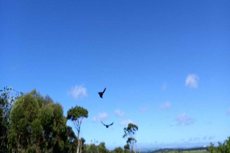 Photo of property in 91a Bald Hill Road, Waiuku, 2678