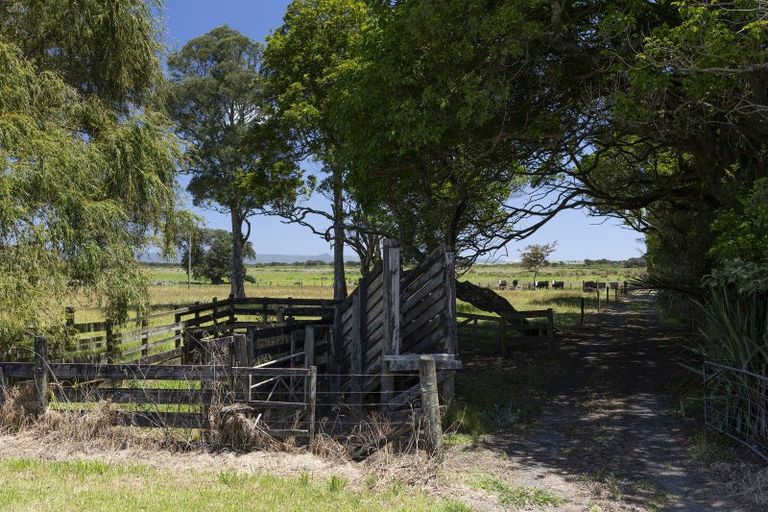 Photo of property in 810 Gill Road, Kaitaia, 0483