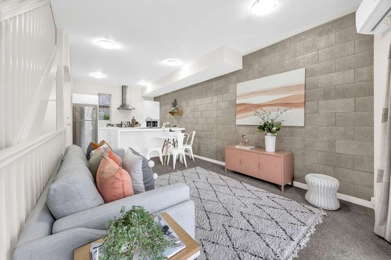 Photo of property in 3uj Papawai Terrace, Mount Cook, Wellington, 6021