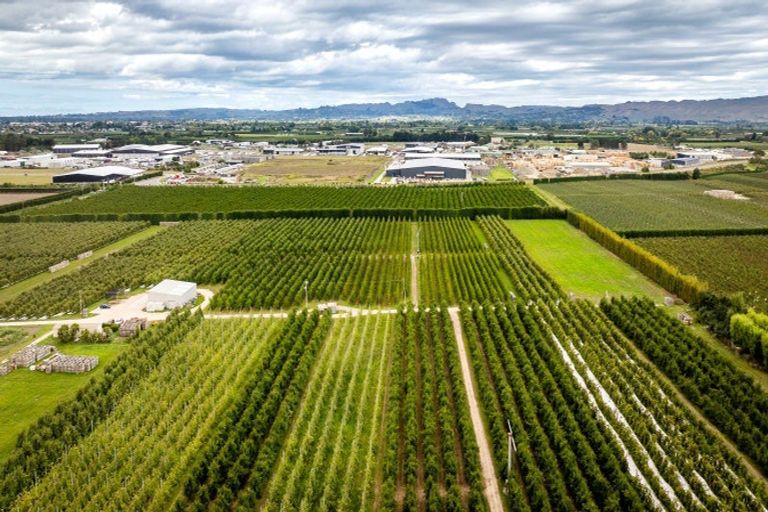Photo of property in 5 Feltwell Place, Mangere Bridge, Auckland, 2022