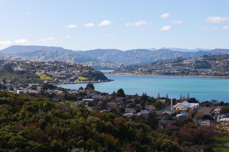 Photo of property in 91 Rangituhi Crescent, Takapuwahia, Porirua, 5022