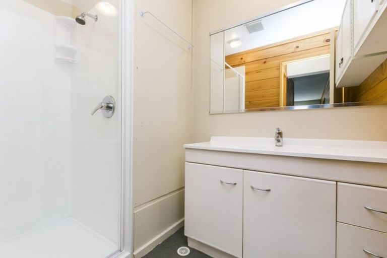 Photo of property in Te Awhina Apartments, 22u8 Sussex Street, Mount Cook, Wellington, 6021