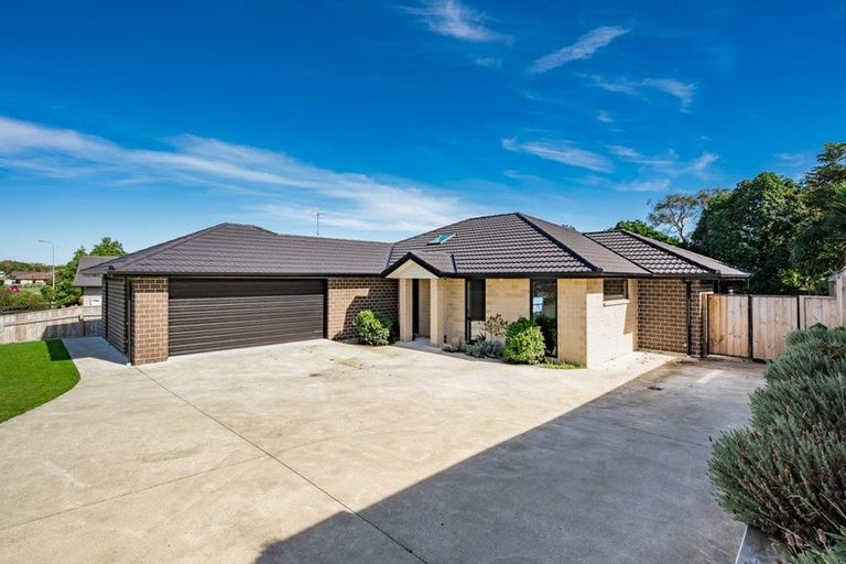 Photo of property in 1 Sudeng Street, Levin, 5510