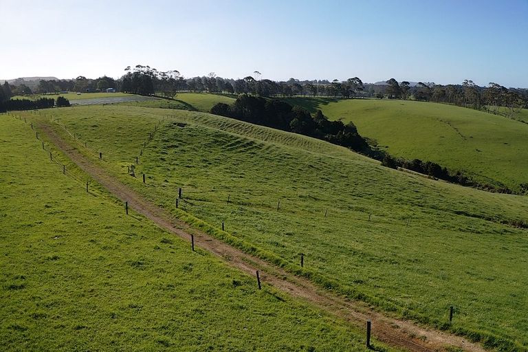 Photo of property in 398 Pungaere Road, Waipapa, Kerikeri, 0295