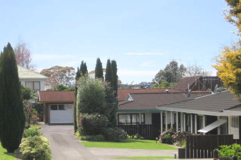 Photo of property in 29 Fourteenth Avenue, Tauranga South, Tauranga, 3112