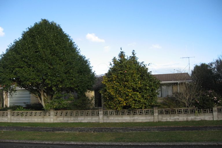 Photo of property in 6 Henry Street, Hamilton East, Hamilton, 3216