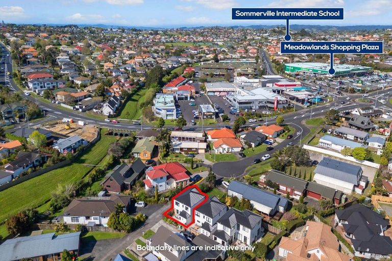 Photo of property in 18a Dana Place, Somerville, Auckland, 2014