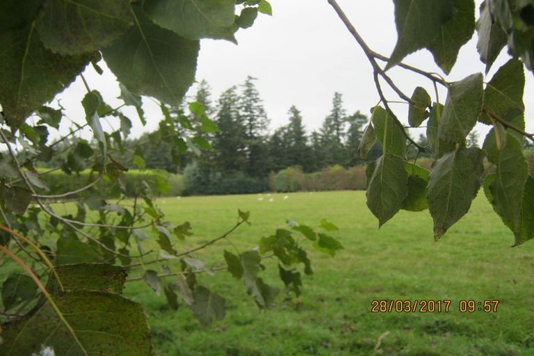 Photo of property in 36 Burdon Road, Woodbury, Geraldine, 7991