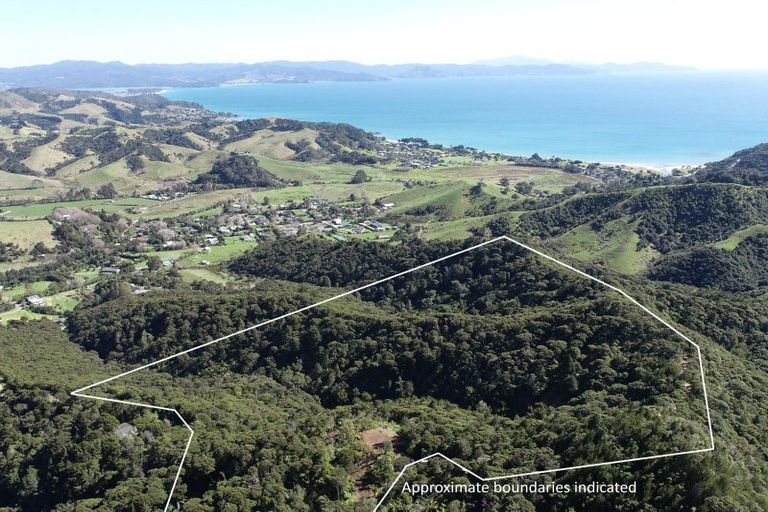 Photo of property in 109 Kawhina Lane, Kuaotunu, Whitianga, 3592