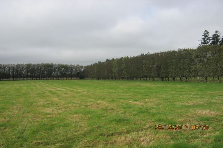 Photo of property in 36 Burdon Road, Woodbury, Geraldine, 7991