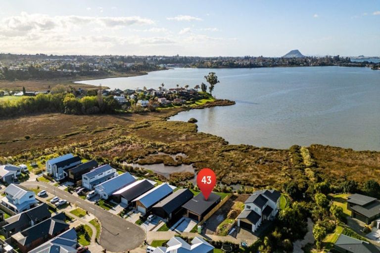 Photo of property in 43 Hinaki Street, Poike, Tauranga, 3112