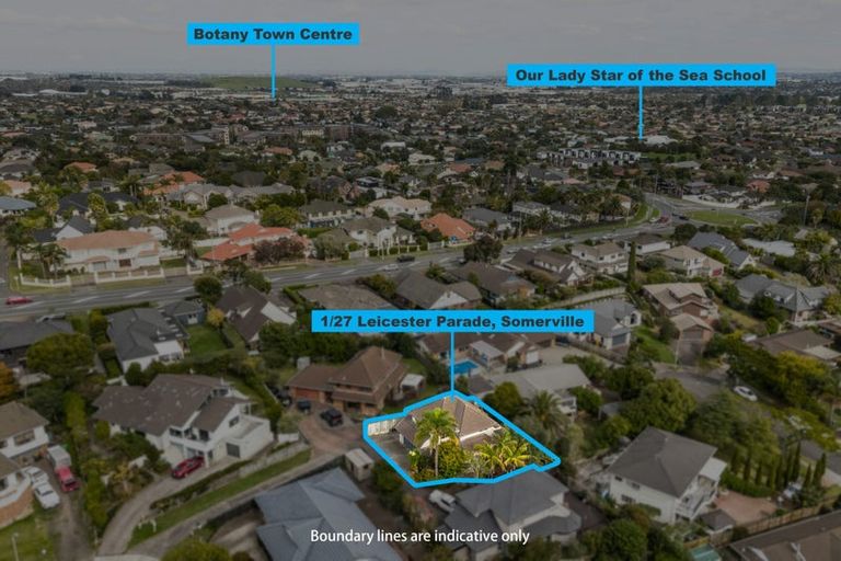 Photo of property in 1/27 Leicester Parade, Somerville, Auckland, 2014