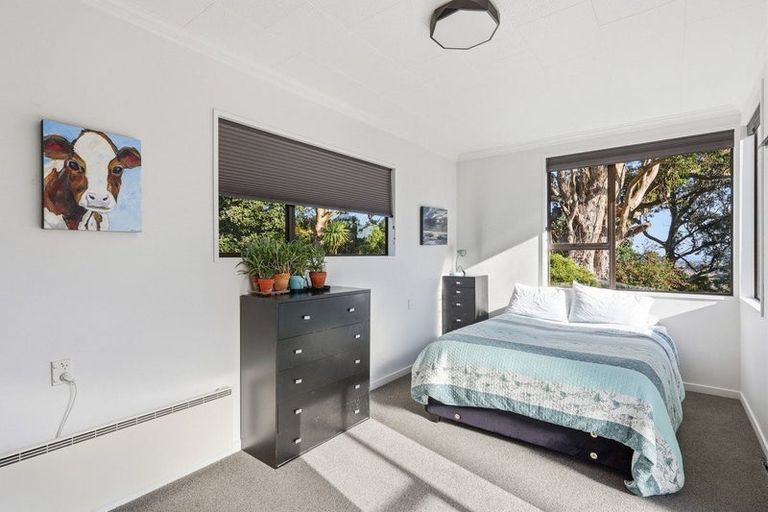 Photo of property in 47 Every Street, Andersons Bay, Dunedin, 9013