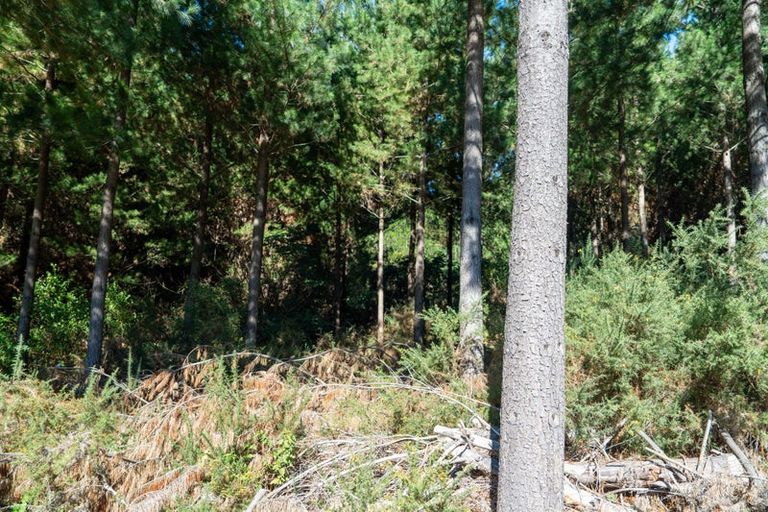 Photo of property in 96 Sunridge Park Road, Morrinsville, 3375