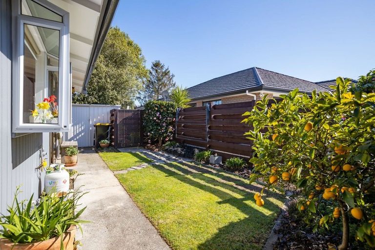 Photo of property in 178a Chapel Street, Masterton, 5810