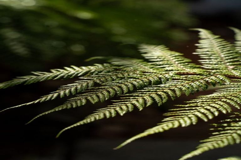 Photo of property in 89 Oakhampton Street, Hornby, Christchurch, 8042