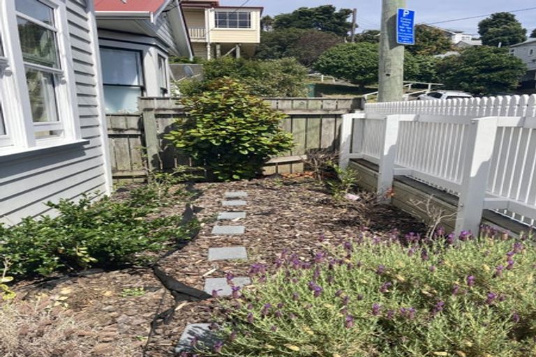 Photo of property in 3 Carrington Street, Mount Cook, Wellington, 6021