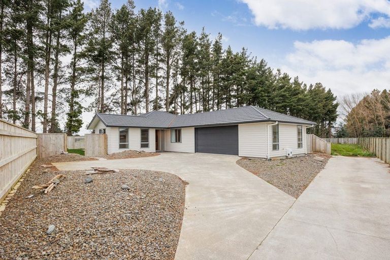 Photo of property in 16a Rayner Lane, Marton, 4710
