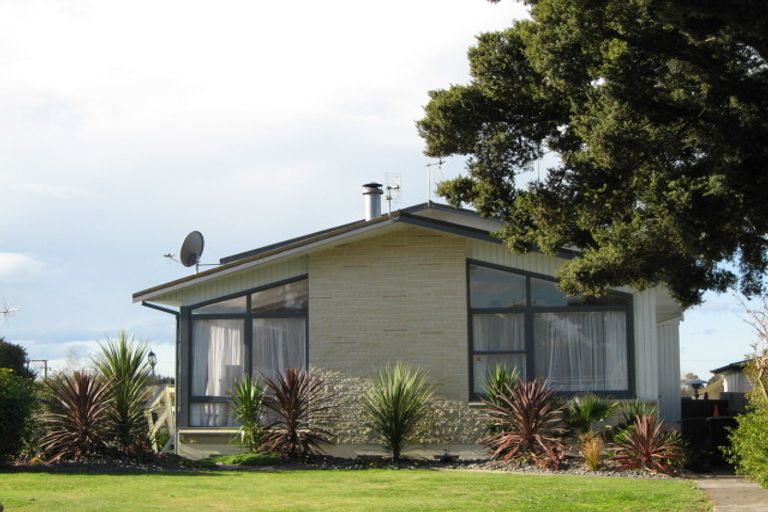 Photo of property in 717 Ballantyne Street, Frimley, Hastings, 4120