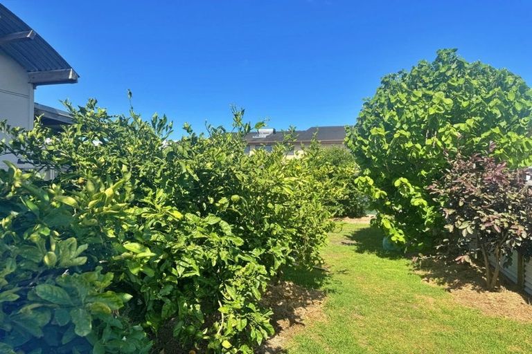 Photo of property in 41 Motutara Drive, Karikari Peninsula, 0483