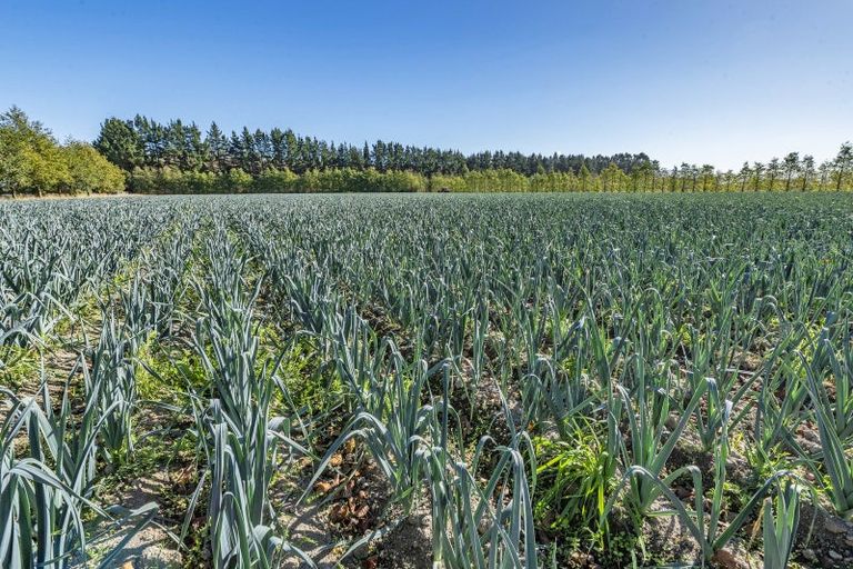 Photo of property in 581 Pesters Road, West Eyreton, 7475