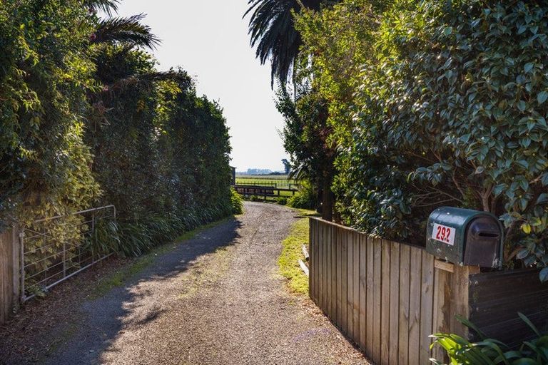 Photo of property in 292 Kairanga Bunnythorpe Road, Bunnythorpe, Palmerston North, 4478