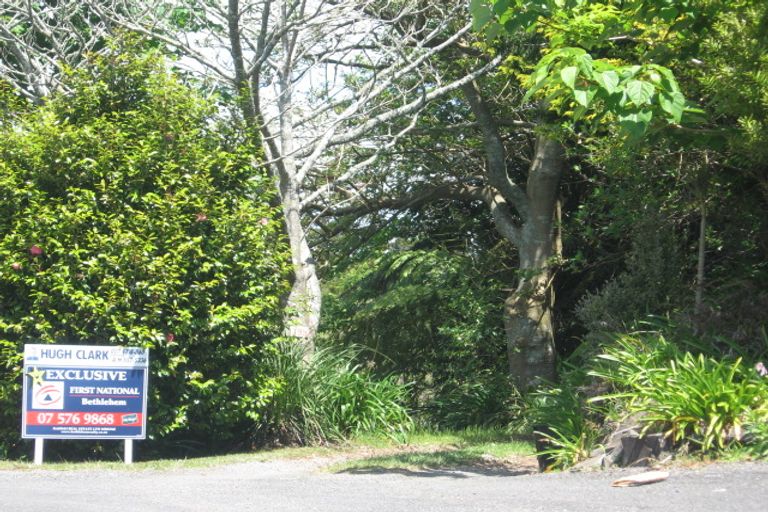 Photo of property in 295f Minden Road, Minden, Tauranga, 3176