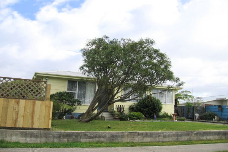Photo of property in 48 Freyberg Avenue, Tamatea, Napier, 4112