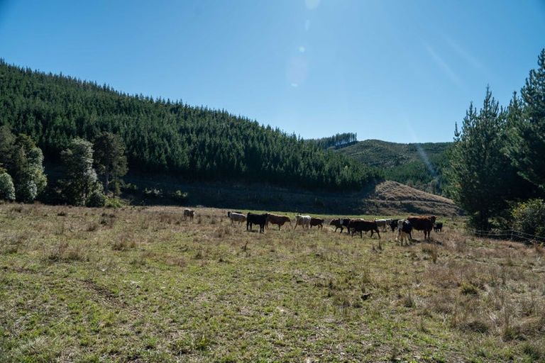 Photo of property in 96 Sunridge Park Road, Morrinsville, 3375