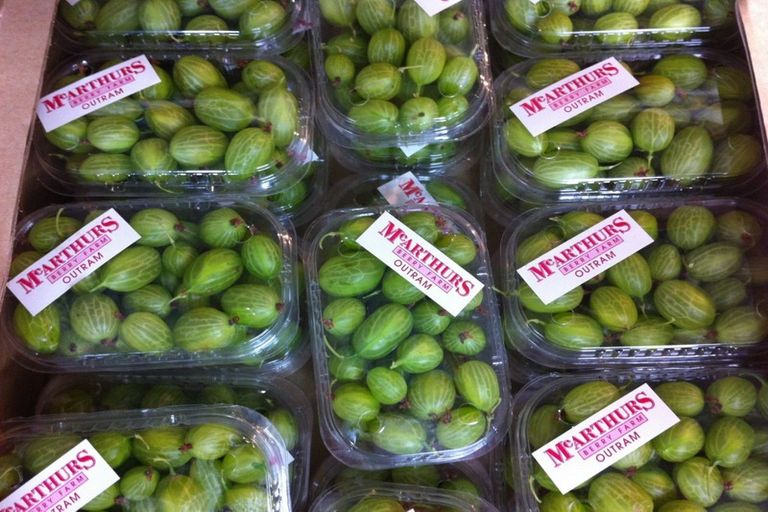 Photo of property in 781 Outram-mosgiel Road, Riverside, Mosgiel, 9073