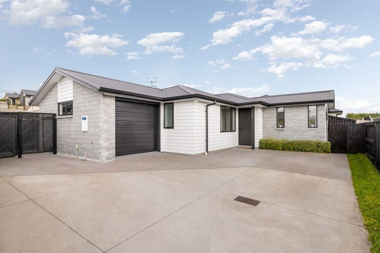 Photo of property in 25b Kiritiana Close, Pyes Pa, Tauranga, 3112