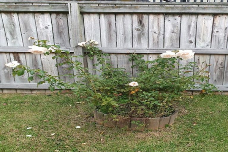 Photo of property in 12a June Place, Torbay, Auckland, 0630