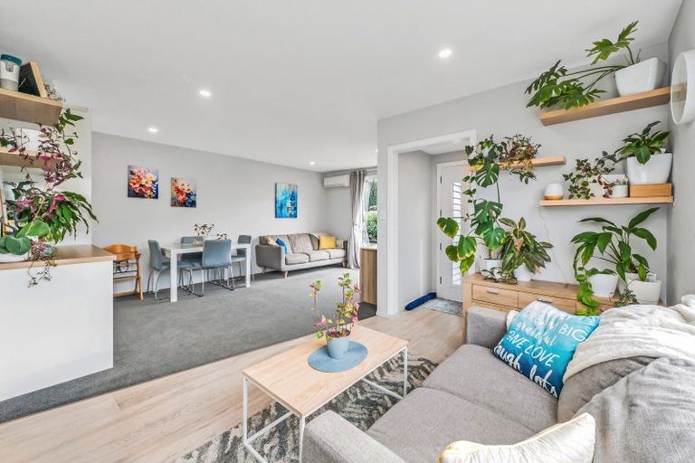 Photo of property in 48 Briggs Road, Mairehau, Christchurch, 8052