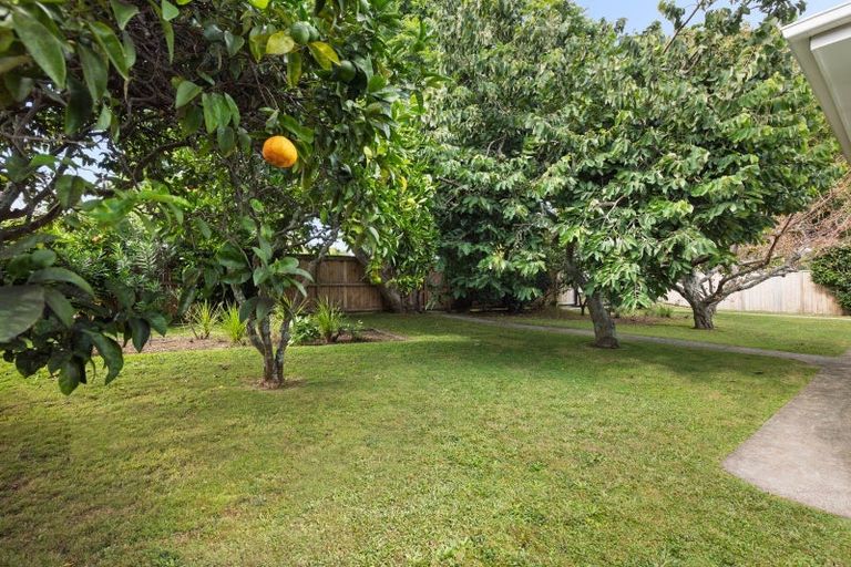 Photo of property in 318 Maungatapu Road, Maungatapu, Tauranga, 3112