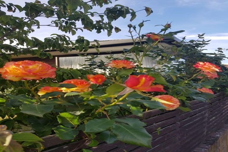 Photo of property in 5 Chokebore Place, Sockburn, Christchurch, 8042