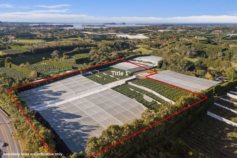 Photo of property in 416 State Highway 2, Tahawai, Katikati, 3170
