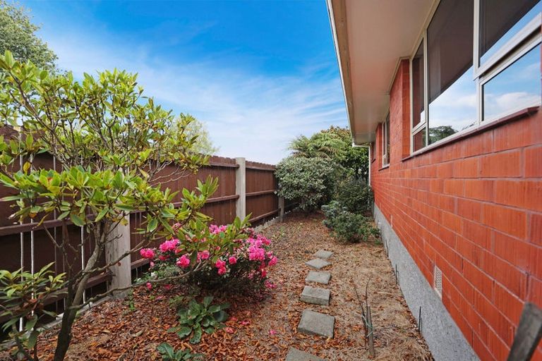 Photo of property in 60 Alford Forest Road, Allenton, Ashburton, 7700