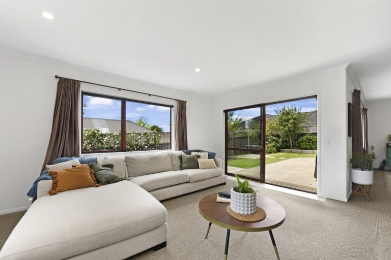 Photo of property in 31 Park Drive, Richmond, 7020