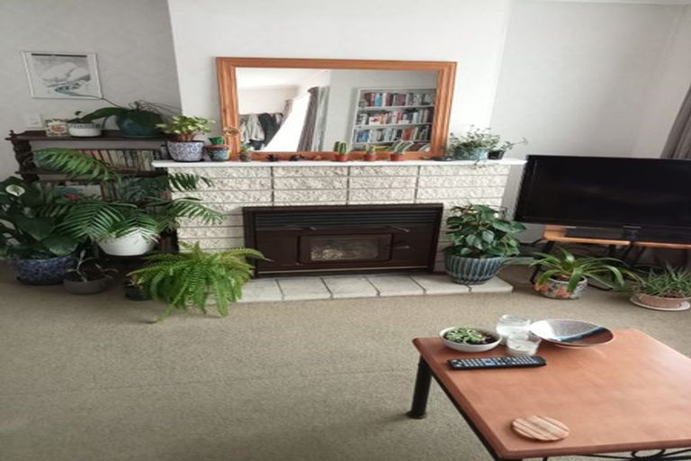 Photo of property in 102c Nixon Street, Hamilton East, Hamilton, 3216