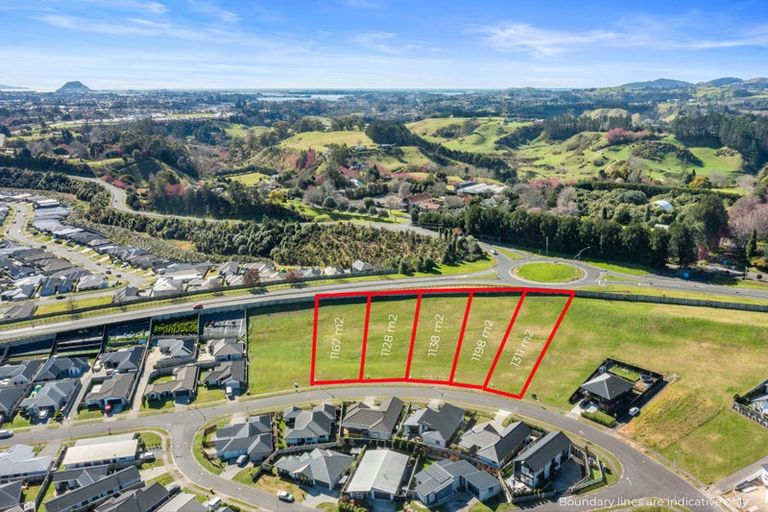 Photo of property in 55 Whakaturou Crescent, Pyes Pa, Tauranga, 3112