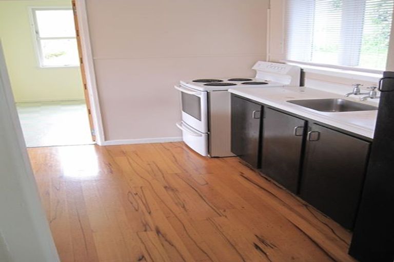 Photo of property in 14 Hugh Brown Drive, New Lynn, Auckland, 0600