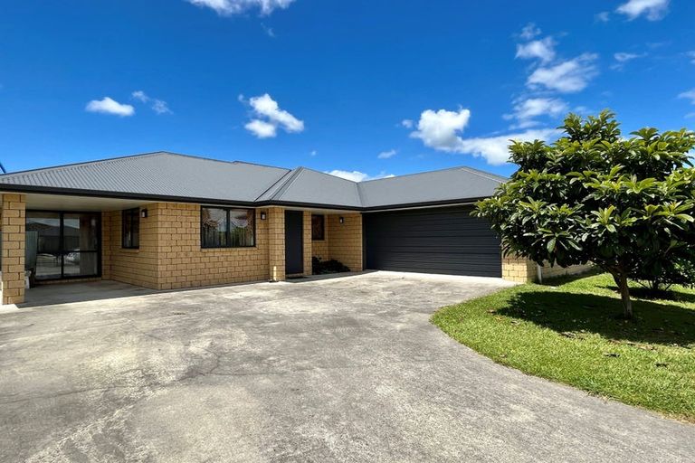 Photo of property in 3 Astor Avenue, Dinsdale, Hamilton, 3204