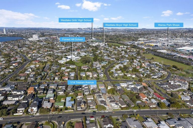 Photo of property in 1/14 Tristram Avenue, Forrest Hill, Auckland, 0620