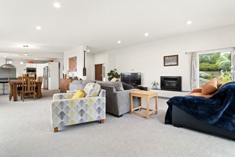 Photo of property in 37 Settlement Hill Road, Owaka, 9586