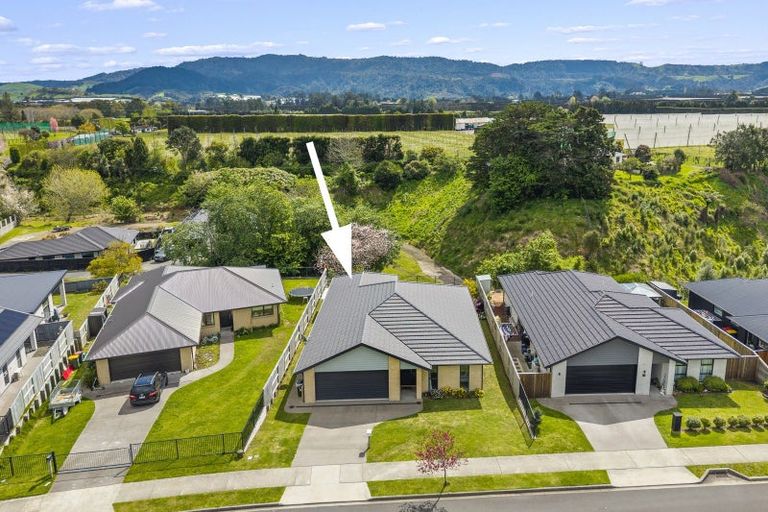 Photo of property in 71 Tynan Street, Te Puke, 3119