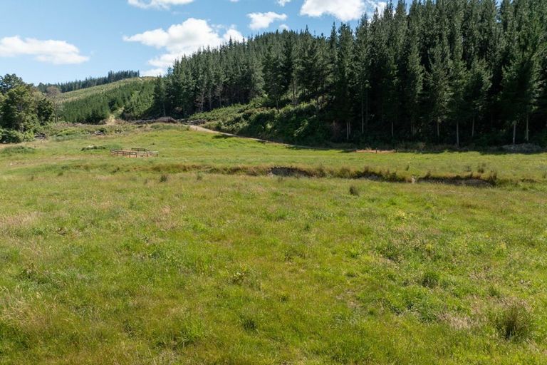 Photo of property in 96 Sunridge Park Road, Morrinsville, 3375